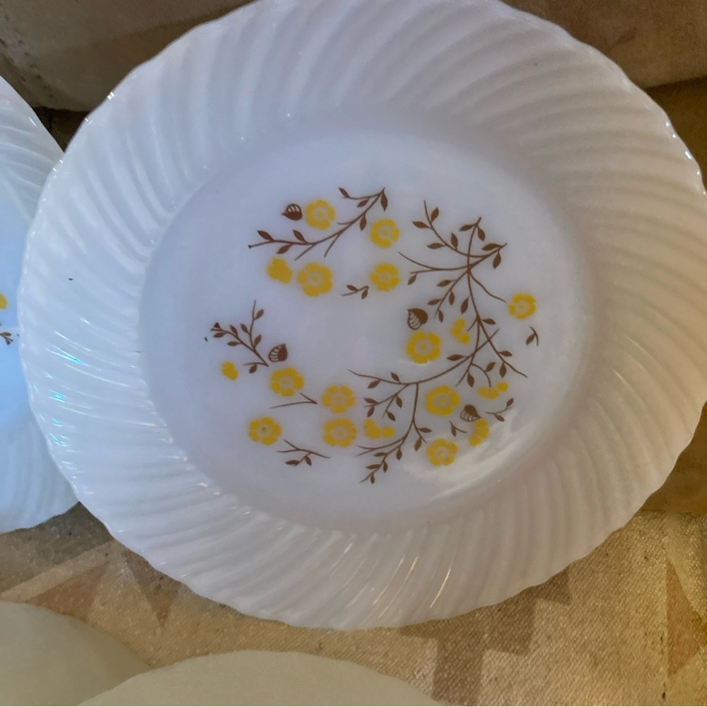 Plates - Picture 6 of 9